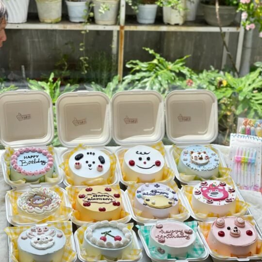 bento cake nhiều mẫu